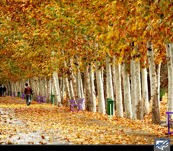 پاییز در بوستان ملت