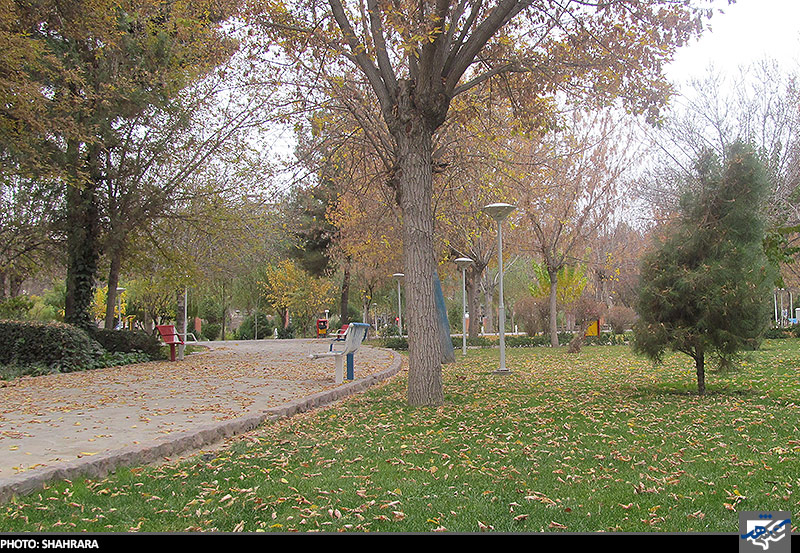 یک روز پاییزی و درختان بوستان «میرزا»