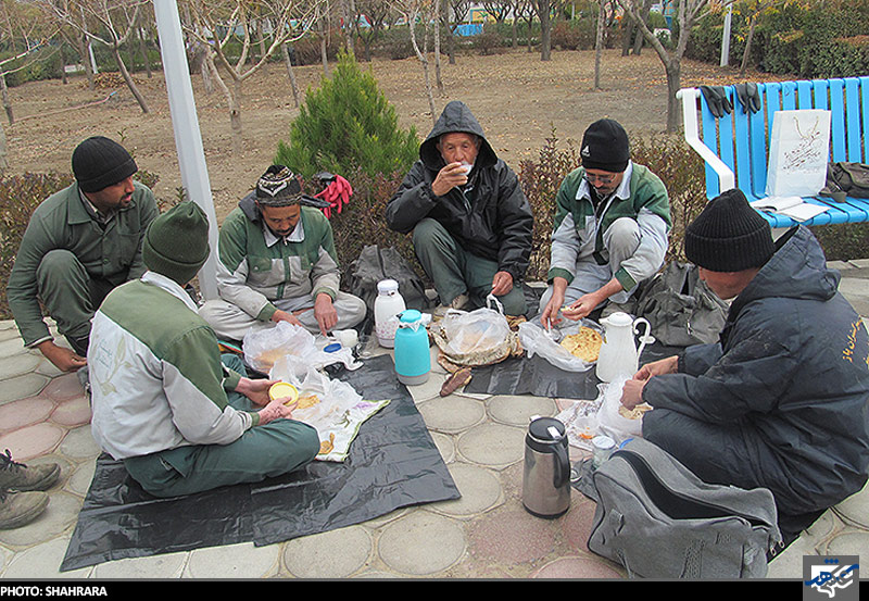 باغبانان شرقی در بوستان جنگلی شاهد