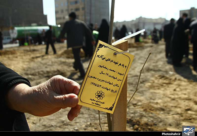 کاشت صدها درخت به یاد شهدای دفاع مقدس