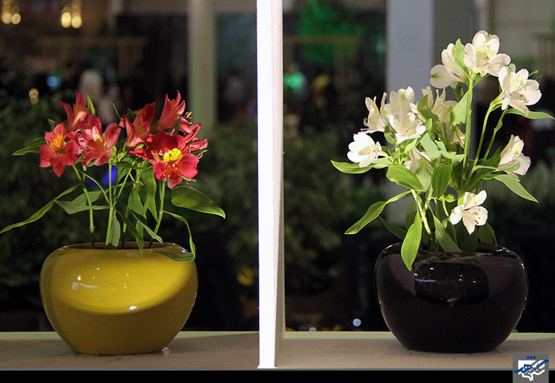 نمایشگاه گل و گیاه