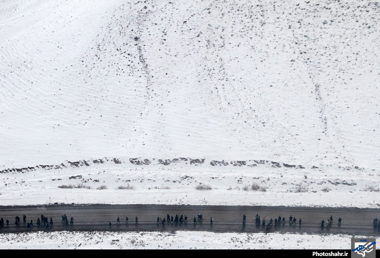 زائران پیاده امام رضا (علیه السلام ) 2