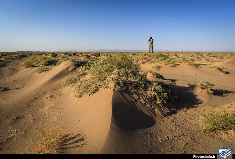 یک روز کاری با آقای محیط بان