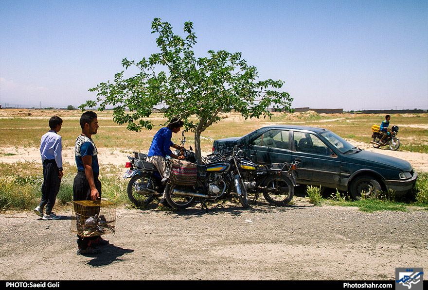 جمعه بازار پرنده فروشان