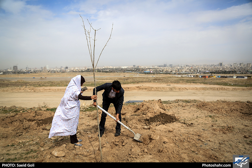 مراسم روز درختکاری