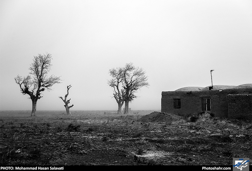 مرگ مغزی در صفر مرزی