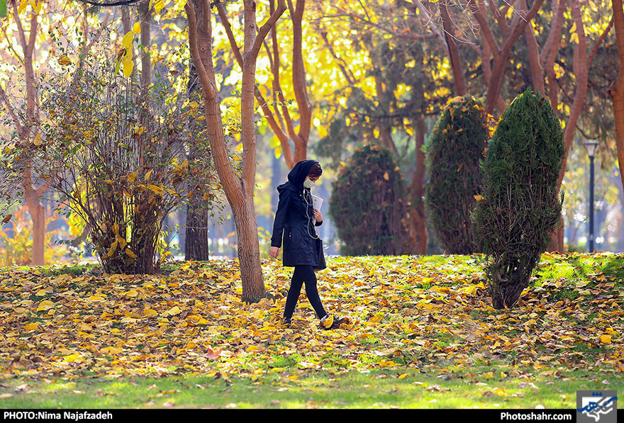 جلوه‌های پاییز در مشهد