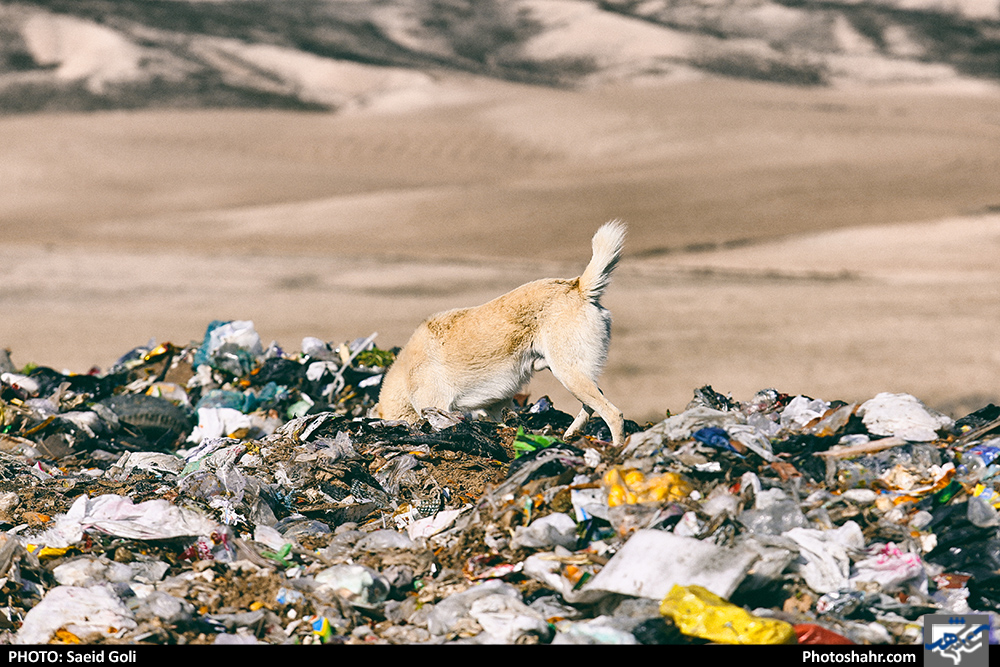 زباله های ناگزیر