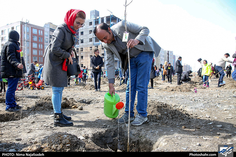 کاشت نهال در آستانه هفته‌ی درخت کاری