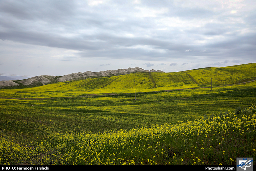 طبیعت بهاری