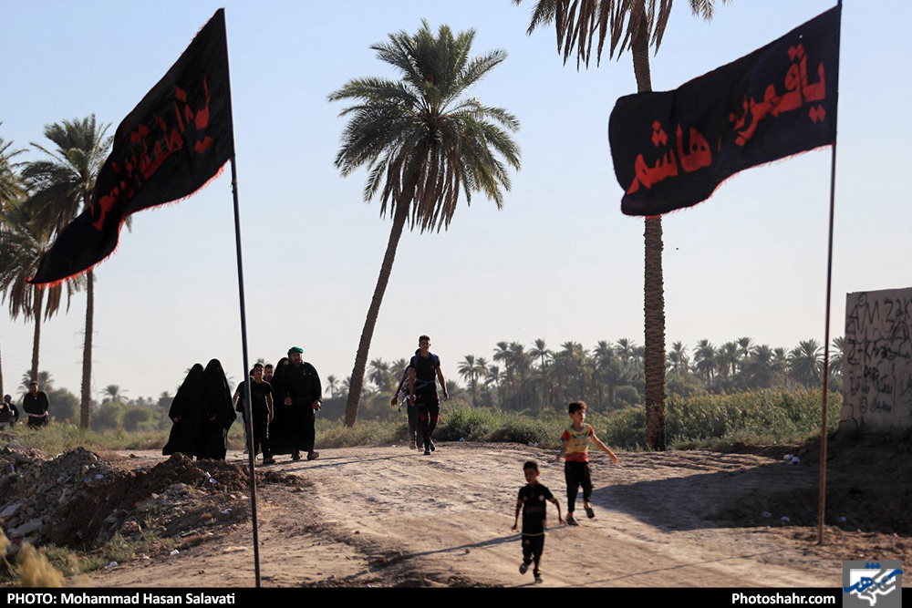 پیاده روی زائرین حسینی در مسیر کربلا - 2