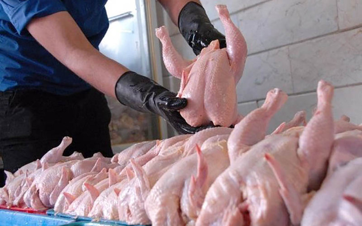کاهش ۴۰۰ تومانی قیمت مرغ در بازار/مشکلی در تأمین مرغ بازار شب عید نداریم