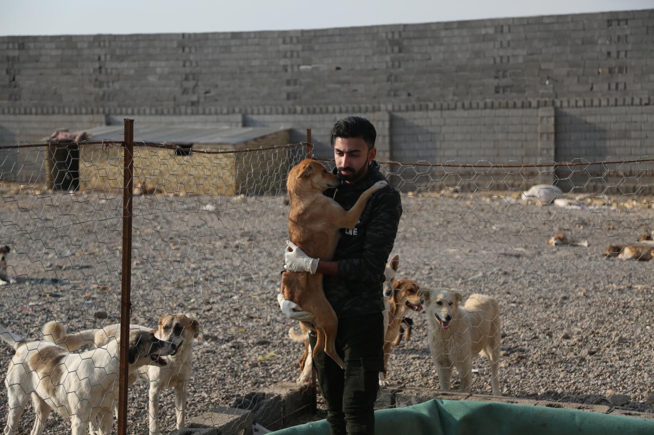 روایت ۵ بانویی که بدون کمک دولتی پناه حیوانات شده اند