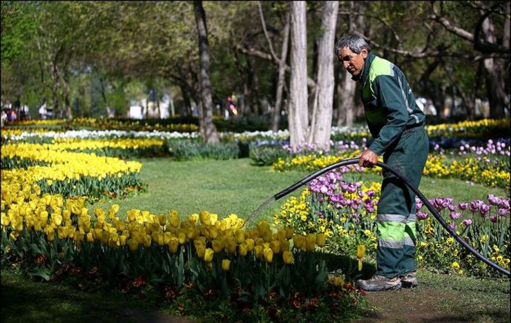 بهره برداری از ۲۰ بوستان تا پایان سال در مشهد