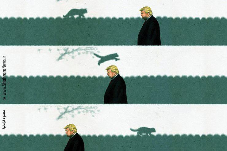 کاریکاتور/ آیا مجلس سنا گربه‌سیاه ترامپ می‌شود؟