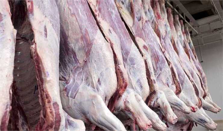 خرید گوشت از دامداران، زیر قیمت تمام شده