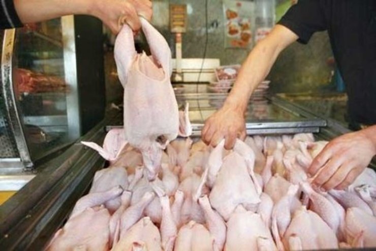  قیمت مرغ در کانال ۱۳ هزار تومان قرار گرفت