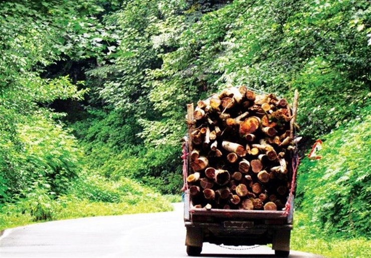 ۹ تن چوب جنگلی قاچاق در هنگ مرزی درگز متوقف شد