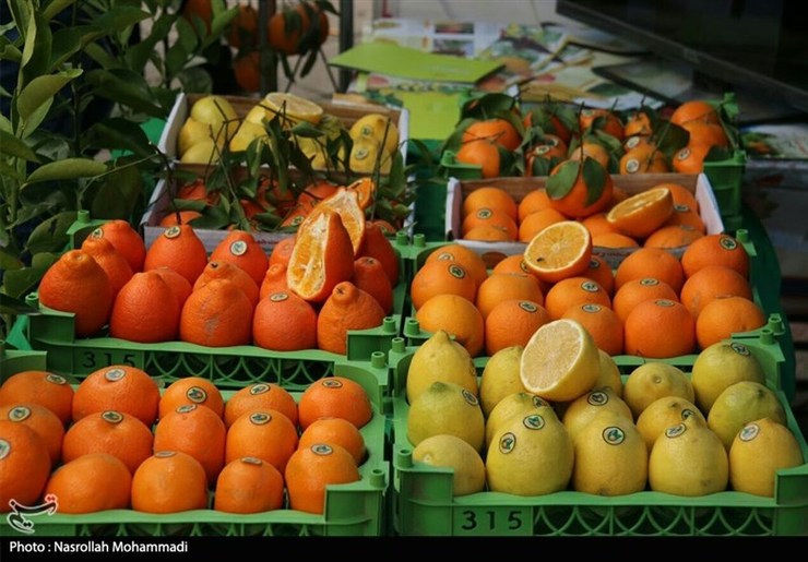 عرضه ۶۰ هزار تن سیب و پرتقال تنظیم بازار برای شب عید