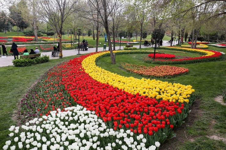 استقبال از بهار با کاشت ۱۵ میلیون گل در مشهد