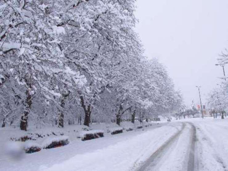 کاهش محسوس دما در مشهد/برف و باران در راه