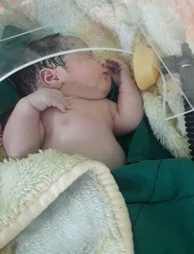 تولد نوزاد از مادر مبتلا به کرونا در بابل+تصاویر