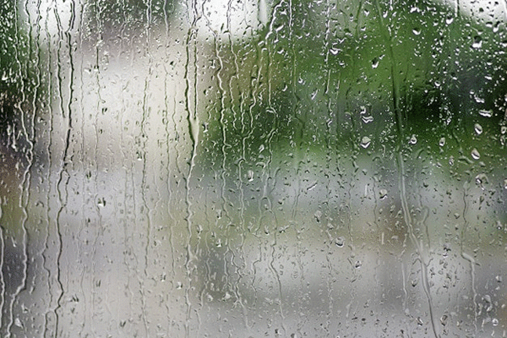 بارش باران زمستانی در ۱۶ شهر خراسان رضوی
