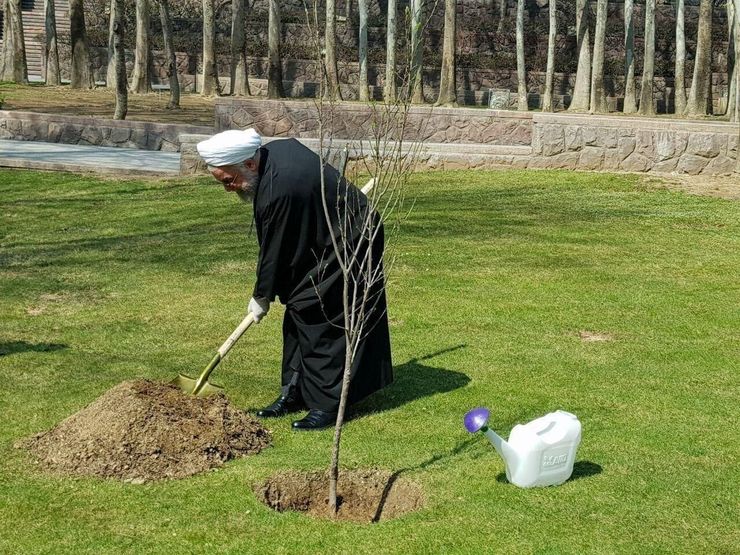 همزمان با روز درختکاری انجام شد؛ 
کاشت نهال توسط رئیس جمهوری