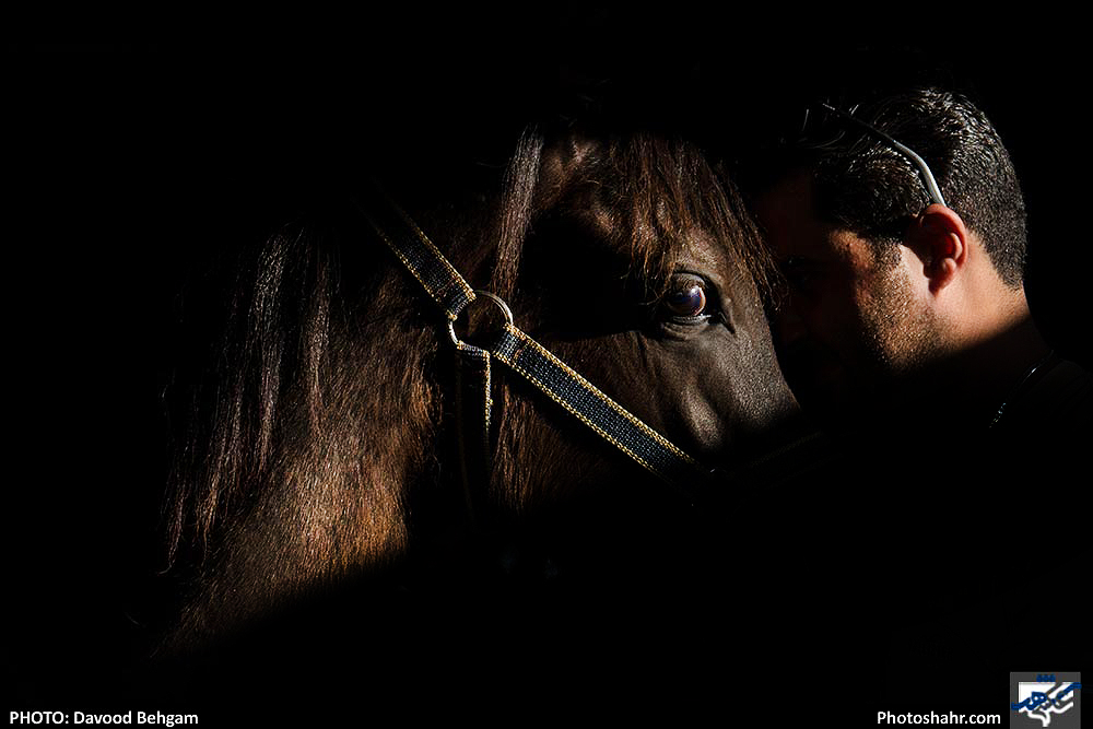 حراج 4 اسب به نفع سیل زدگان 