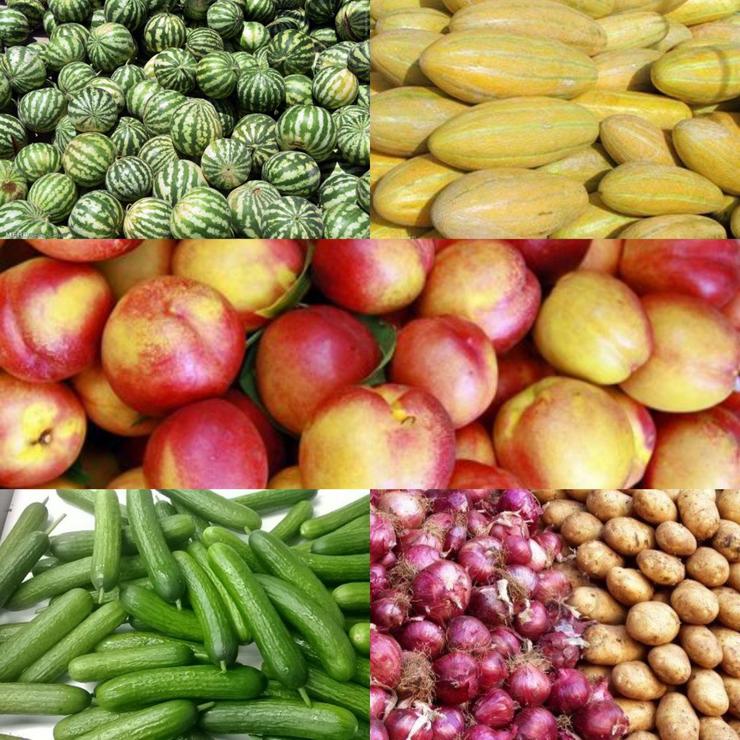 عرضه میوه و صیفی‌جات با قیمت میدان بار در بازارها و فروشگاه های «شهرما»+ لیست فروشگاه‌ها