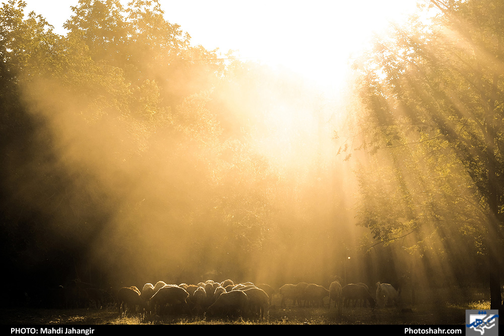 طبیعت «کلات»