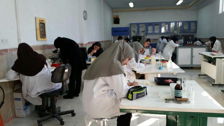 درخشش نوجوان مشهدی در پنجمین دوره جشنواره خوارزمی