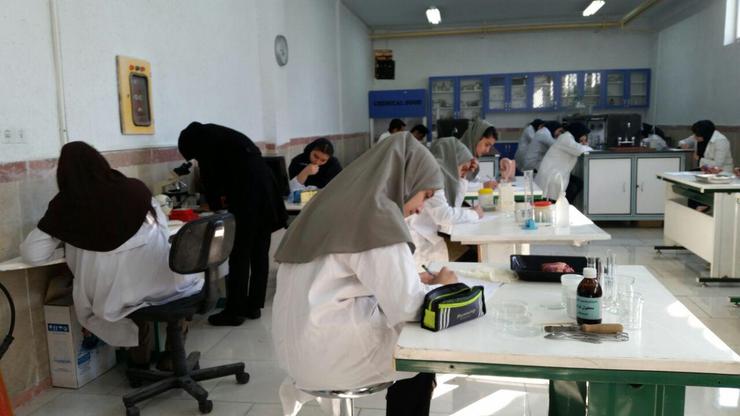 الهه شمس‌زاده، دانش‌آموز مشهدی توانست رتبه نخست آزمایشگاهی پنجمین دوره جشنواره خوارزمی را به خود اختصاص دهد.