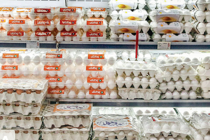 ردپای کاهش تولید در گرانی تخم مرغ