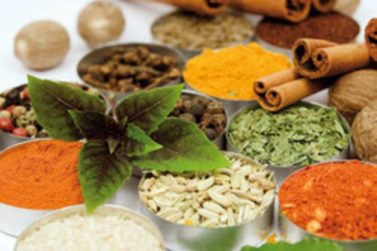 بهره برداری از ۴ سلامتکده طب سنتی در مشهد