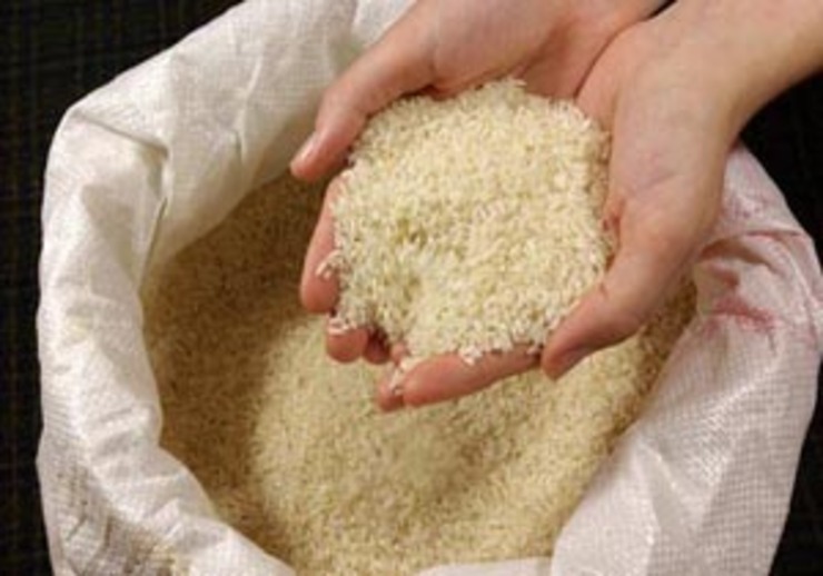 حل مشکل کمبود برنج در خراسان رضوی