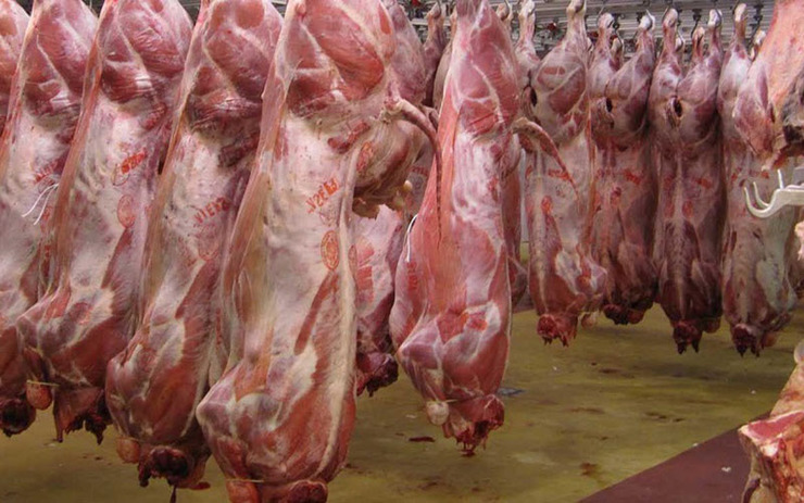 توزیع گوشت گوسفندی ۷۰ هزار تومانی در 