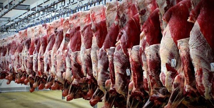 معدوم‌سازی ۱۰۴ تن گوشت غیرقابل مصرف در استان