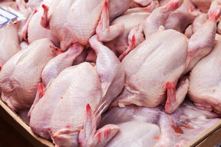 رکوردی جدید برای خرید مرغ مازاد تولیدکنندگان