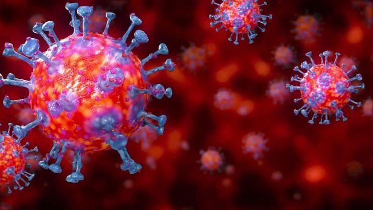ویروس کرونا در دمای ۷۰ درجه پنج دقیقه زنده می‌ماند