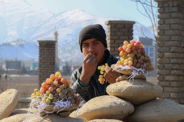 نگهداری متفاوت انگور در افغانستان + فیلم