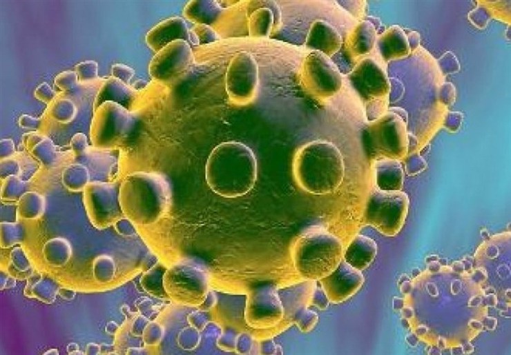 ویدئو | روزشمار بروز علائم ویروس کرونا در بدن انسان
