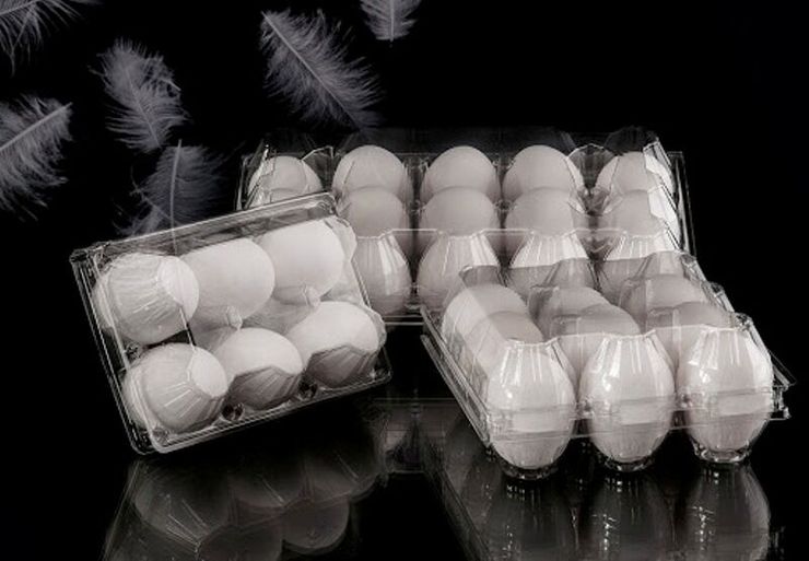 ۲ واحد بسته‌بندی و عرضه تخم‌مرغ «تلاونگ» و «اریکه» پلمب شد