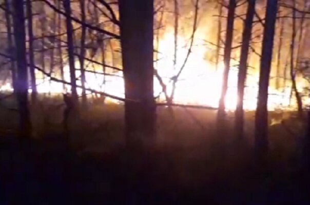 آتش سوزی در جنگل‌های شمال به علت وزش باد شدید گرم + فیلم و تصاویر