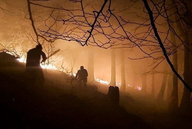 آتش سوزی در جنگل‌های شمال به علت وزش باد شدید گرم + فیلم و تصاویر
