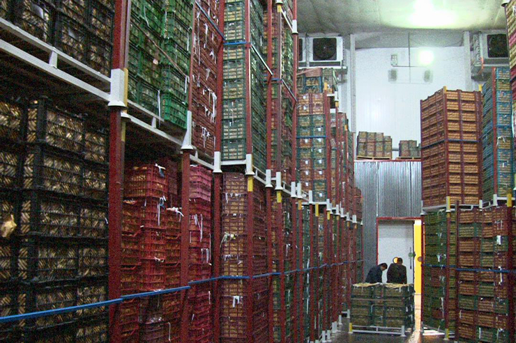 نماینده ارومیه:۸۰۰هزار تن سیب کشاورزان در سردخانه‌ها مانده است
