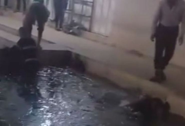 خشونت و انداختن معتادان در استخر آب‌یخ در کمپ ترک اعتیاد قلات شیراز + فیلم