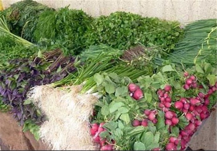 قیمت خیار و سبزی طی ۲۰ روز آینده در بازار کاهش می‌یابد