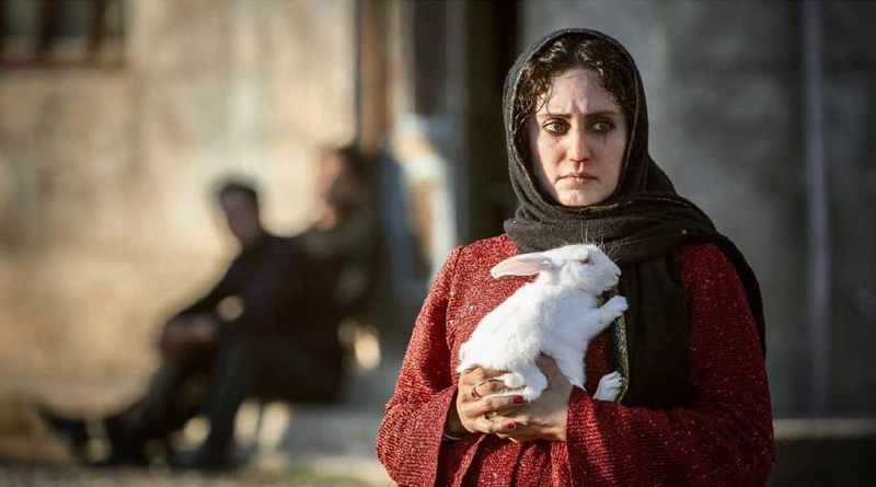 درباره فیلم «تی‌تی» آیدا پناهنده | جشنواره فجر ۳۹
