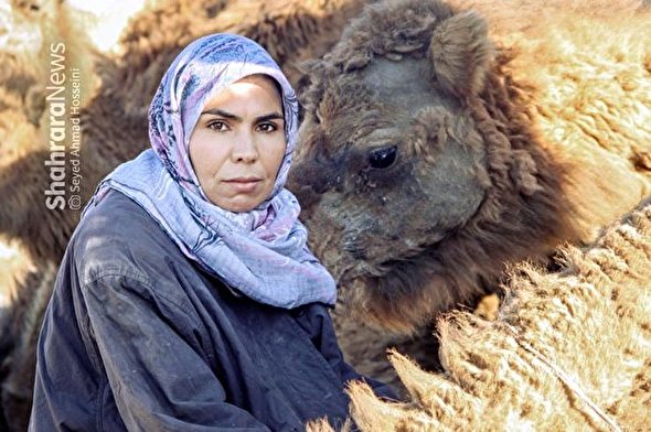 گفتگو با عاتکه نوباغی پرورشدهنده شتر و تسهیلگر زن نمونه کشوری | پرورش امید در فرط خشکسالی